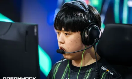 Fielder Overwatch 2 Player Spotlight: Career, Teams, Heroes & Achievements Uncovered