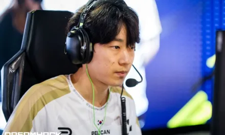 Pelican Overwatch 2 Player: Career Highlights, Teams, Signature Heroes, and Pro Stats