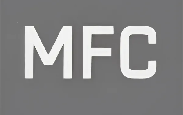 MFC Overwatch 2 Team: Rising Australian Powerhouse Dominating SEA & Oceania Competitive Scene