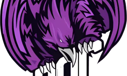ROC Esports Overwatch 2 Team: Roster, Tournament Results, Rankings & Competitive Journey