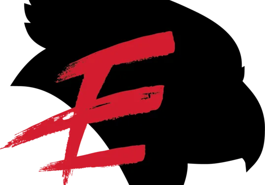Redbird Esports Overwatch 2 Team Dominates Collegiate and Semi-Pro Tournaments in North America