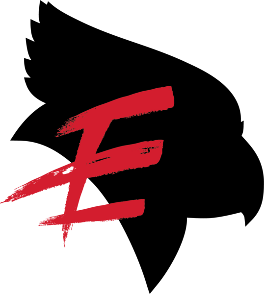 Redbird Esports Overwatch 2 Team Dominates Collegiate and Semi-Pro Tournaments in North America