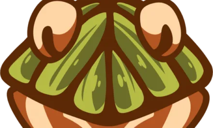 Tanuki Esports Overwatch 2 Team: Roster, Results, and Rise in North American Tournaments