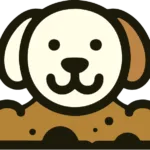 Mud Dog Overwatch 2 Team: Rising Australian Powerhouse Dominating SEA & Oceania Tournaments